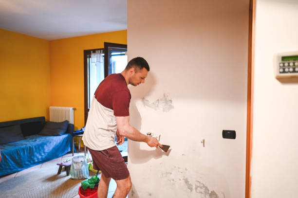 Best Water Damage Restoration  in Fern Park, FL